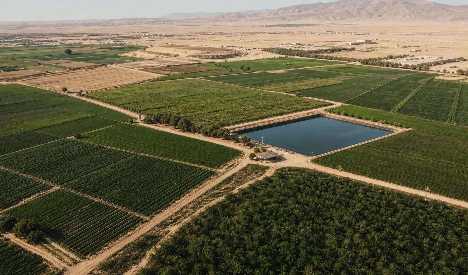 Agricultural Investment — illustrative editorial visual