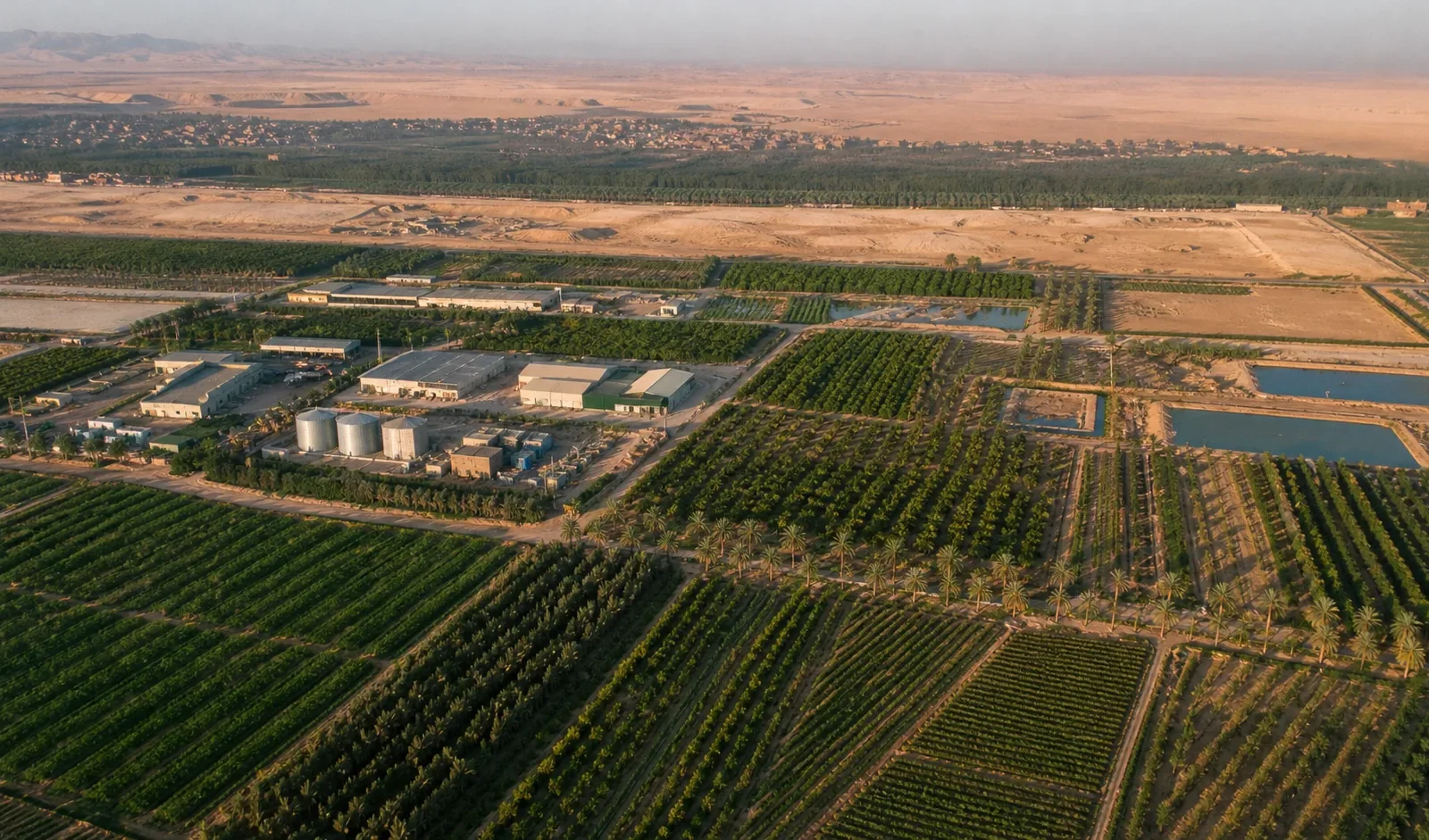 Agricultural Investment — illustrative editorial visual